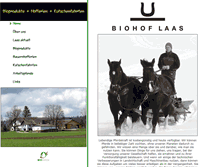 Tablet Screenshot of laas.ch
